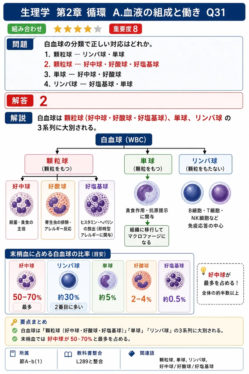 白血球の分類で正しい対応はどれか。 解説図