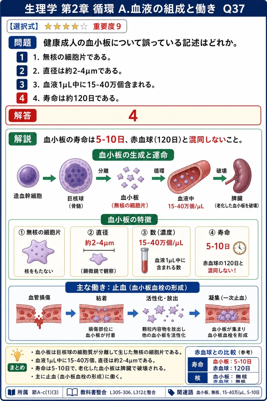 健康成人の血小板について誤っている記述はどれか。 解説図