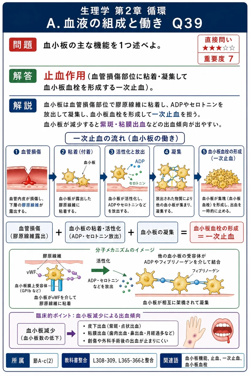 血小板の主な機能を1つ述べよ。 解説図
