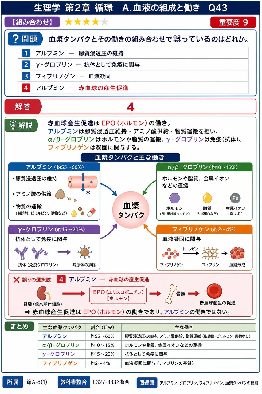 血漿タンパクとその働きの組み合わせで誤っているのはどれか。 解説図