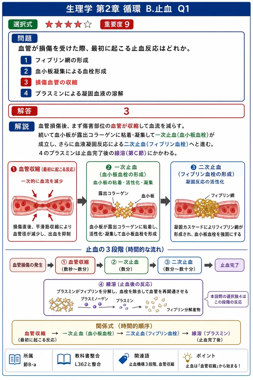 血管が損傷を受けた際、最初に起こる止血反応はどれか。 解説図