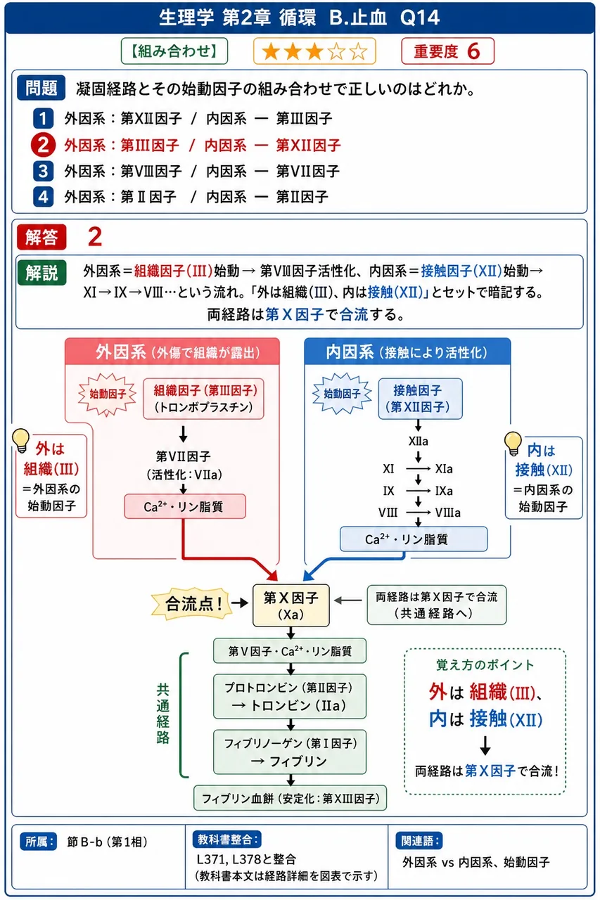 凝固経路とその始動因子の組み合わせで正しいのはどれか。 解説図