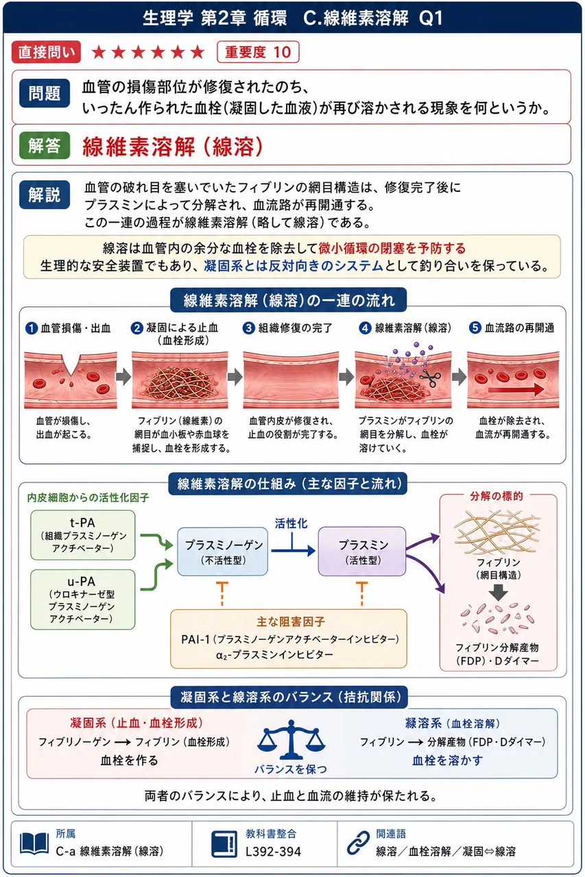 血管の損傷部位が修復されたのち、いったん作られた血栓(凝固した血液)が再び溶かされる現象を何というか。 解説図
