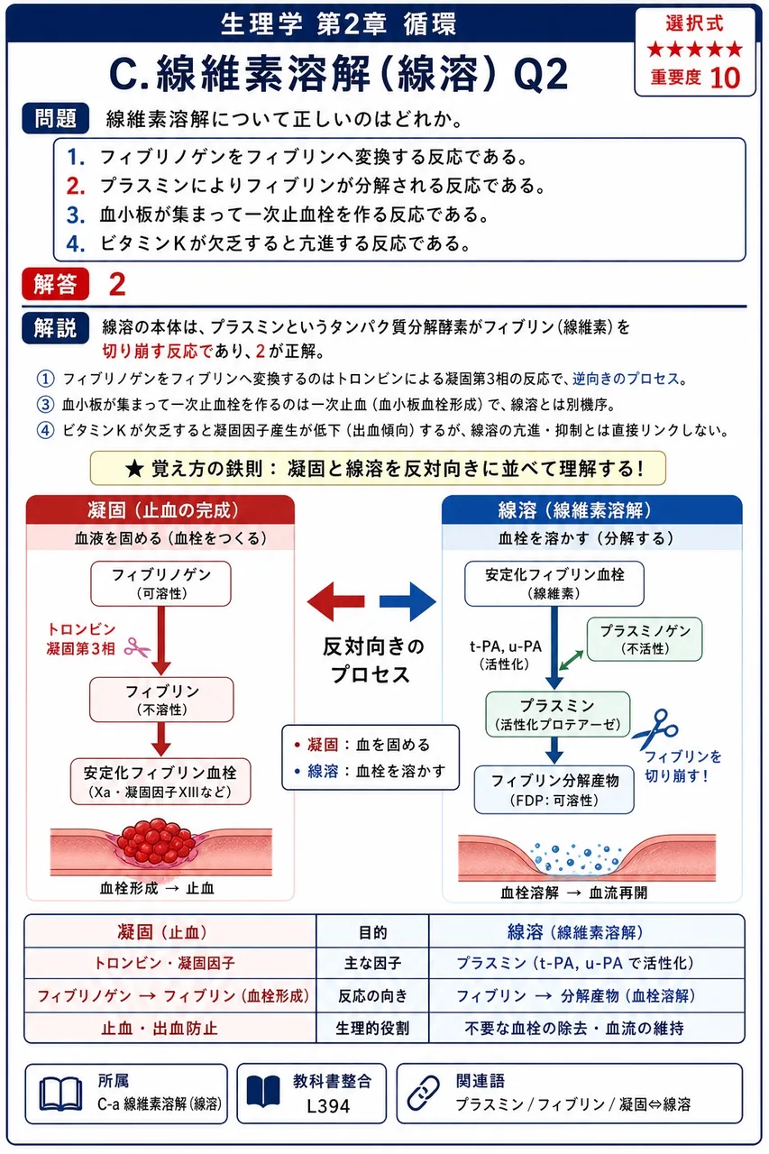 線維素溶解について正しいのはどれか。 解説図