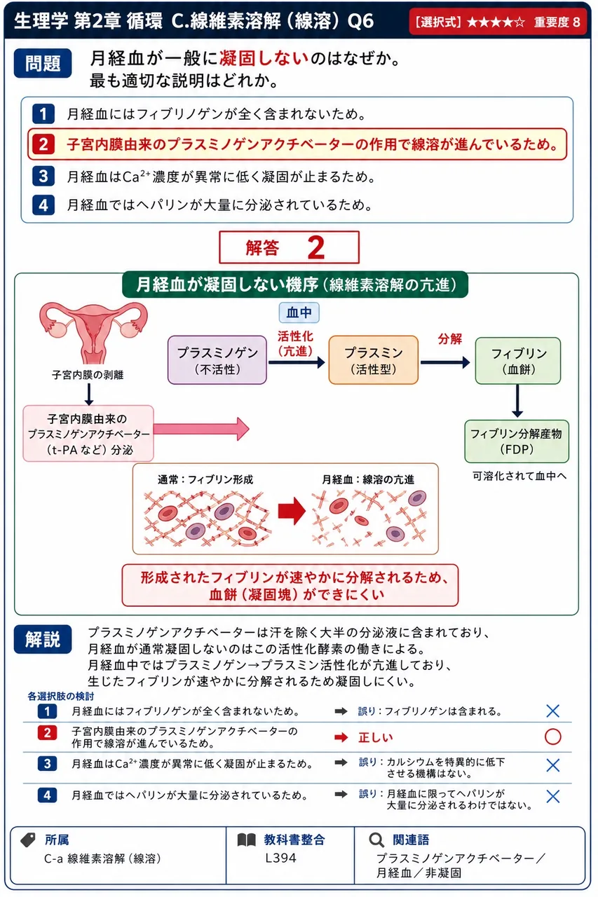 月経血が一般に凝固しないのはなぜか。最も適切な説明はどれか。 解説図