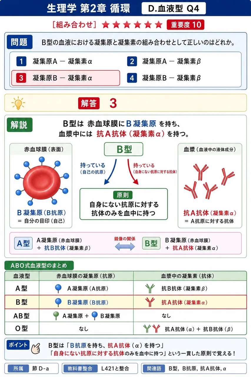 B型の血液における凝集原と凝集素の組み合わせとして正しいのはどれか。 解説図