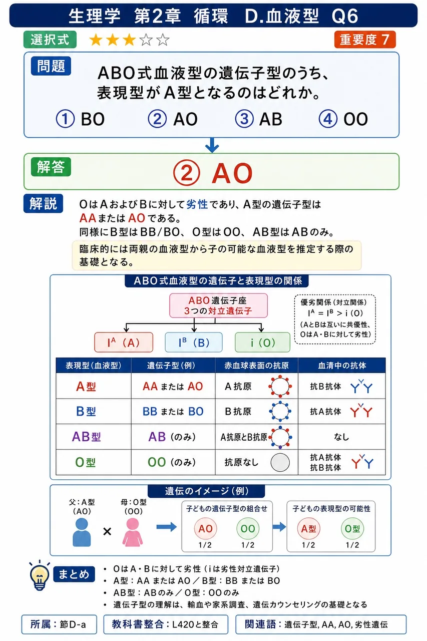ABO式血液型の遺伝子型のうち、表現型がA型となるのはどれか。 解説図