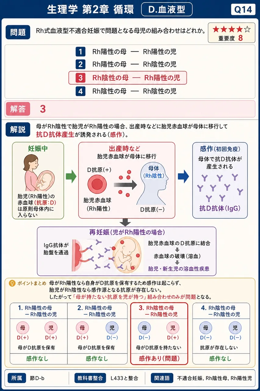 Rh式血液型不適合妊娠で問題となる母児の組み合わせはどれか。 解説図