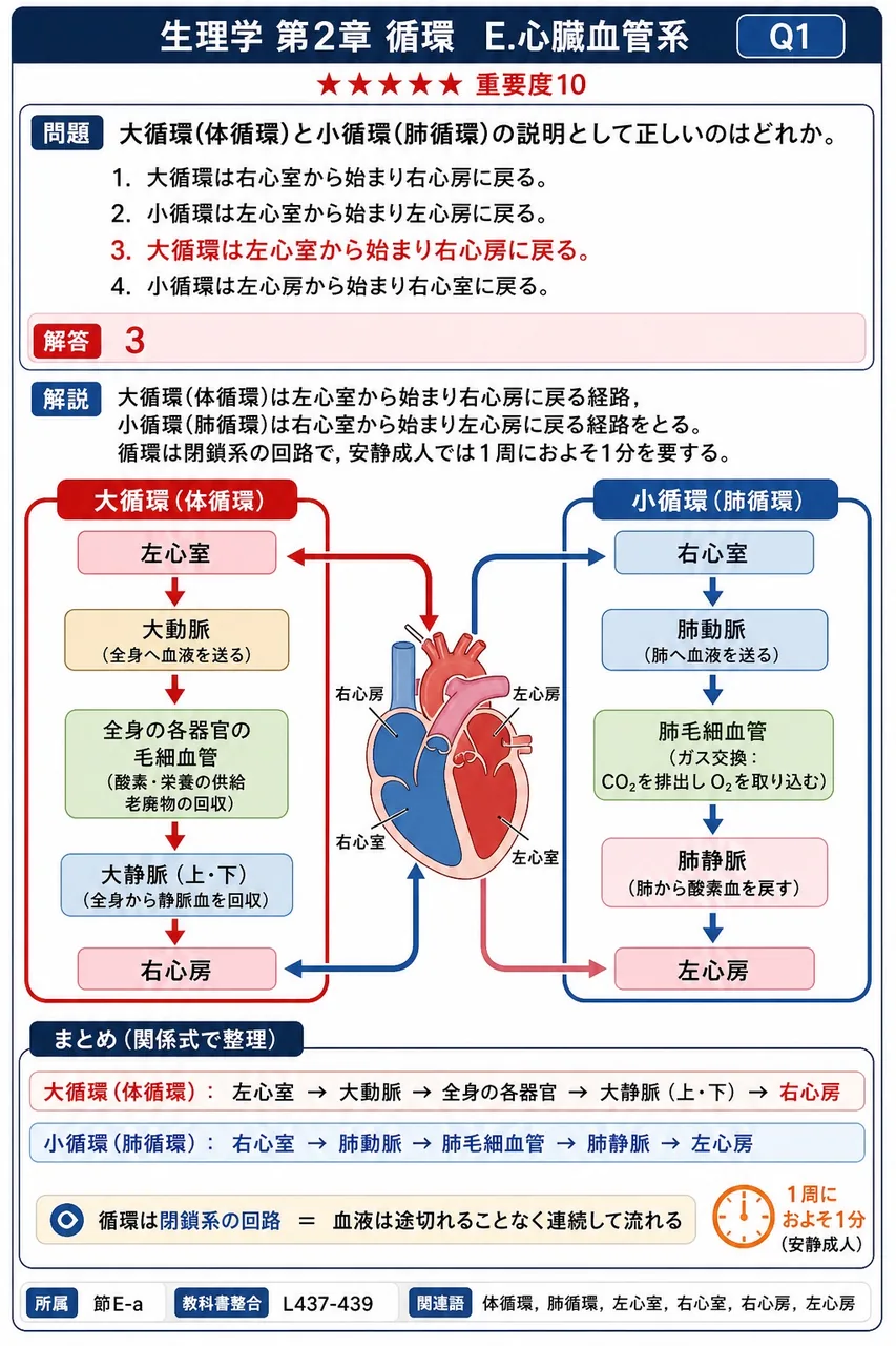 大循環(体循環)と小循環(肺循環)の説明として正しいのはどれか。 解説図