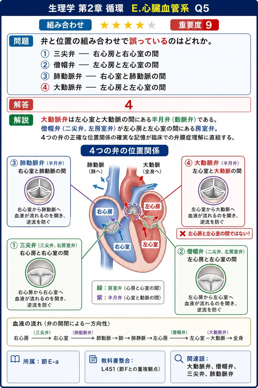 弁と位置の組み合わせで誤っているのはどれか。 解説図