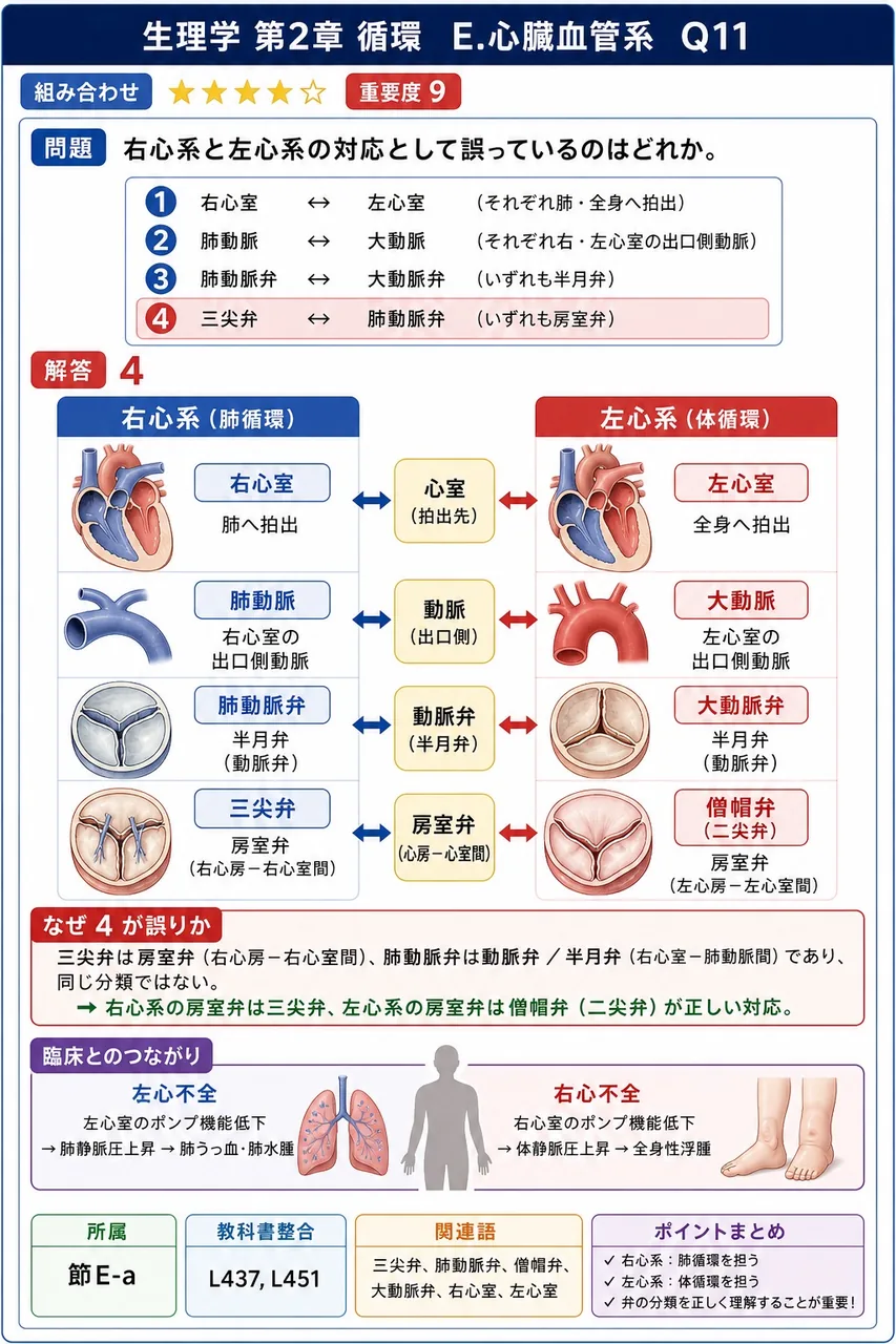 右心系と左心系の対応として誤っているのはどれか。 解説図
