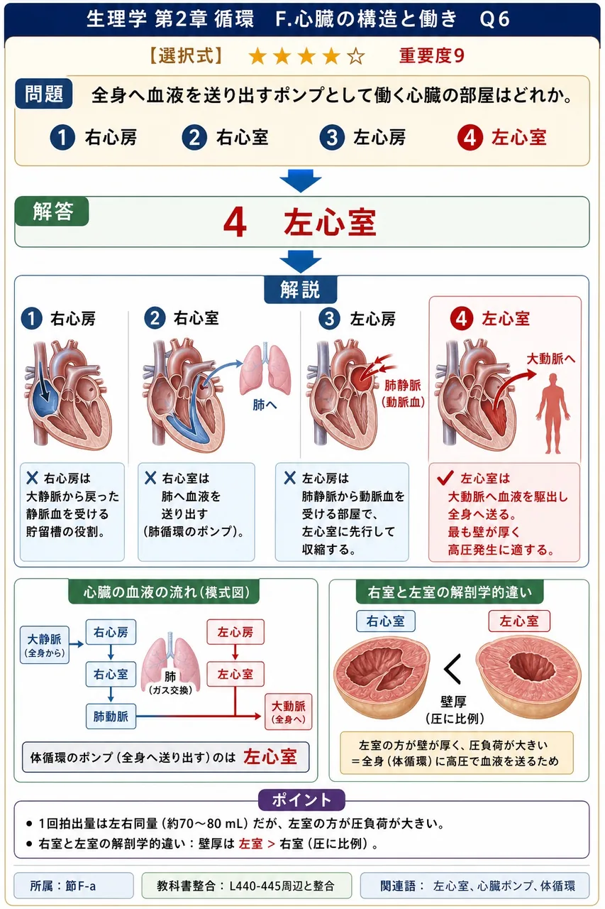 全身へ血液を送り出すポンプとして働く心臓の部屋はどれか。 解説図