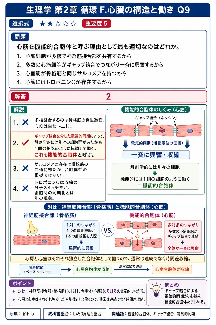 心筋を機能的合胞体と呼ぶ理由として最も適切なのはどれか。 解説図