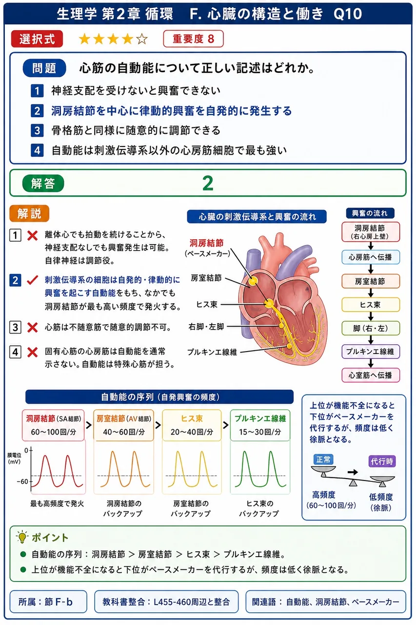 心筋の自動能について正しい記述はどれか。 解説図