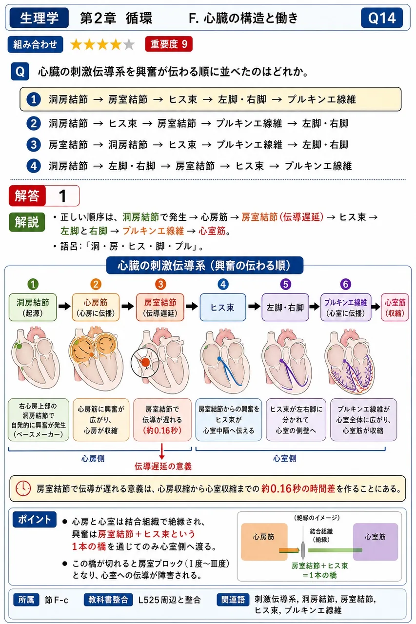 心臓の刺激伝導系を興奮が伝わる順に並べたのはどれか。 解説図