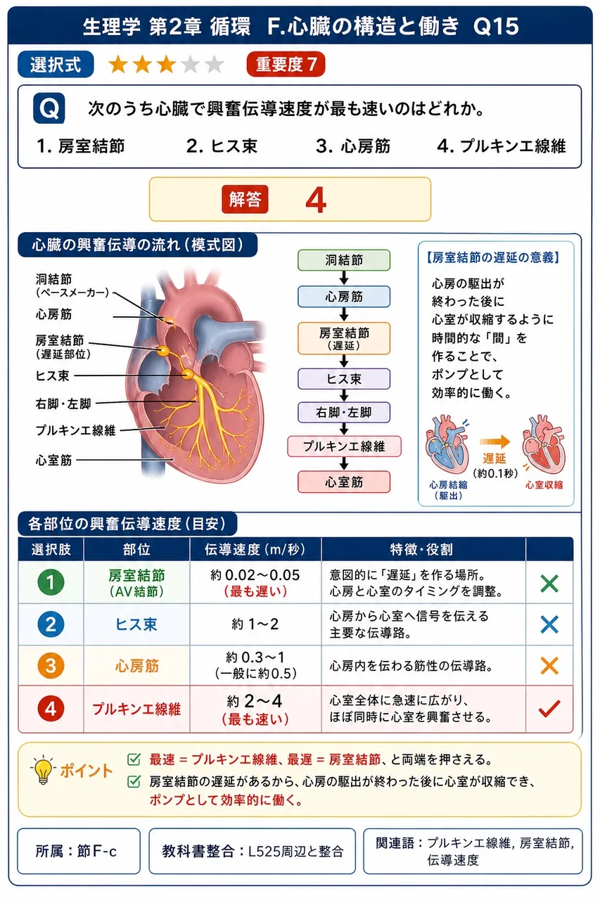 次のうち心臓で興奮伝導速度が最も速いのはどれか。 解説図
