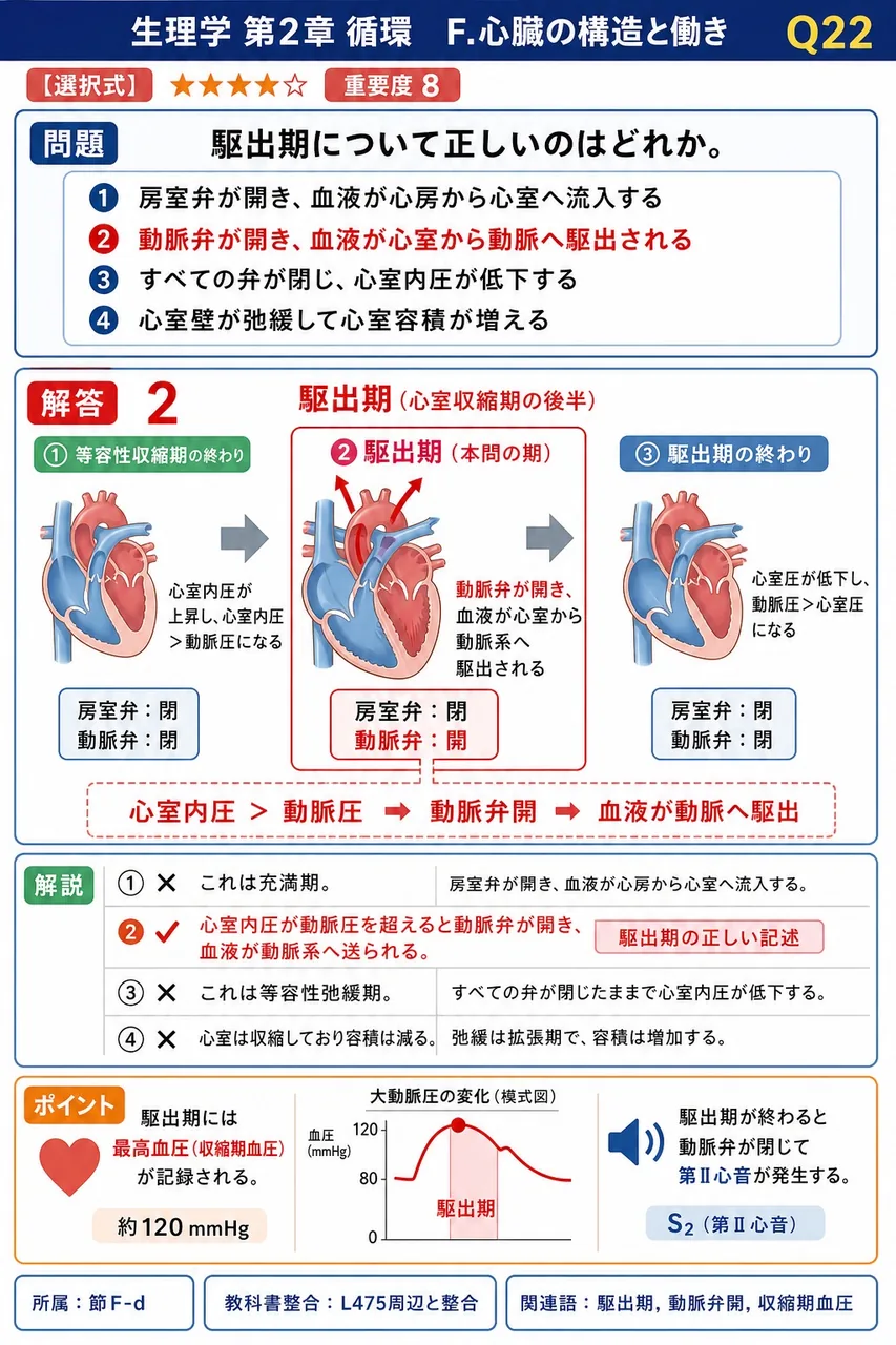 駆出期について正しいのはどれか。 解説図
