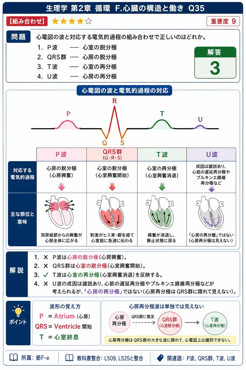 心電図の波と対応する電気的過程の組み合わせで正しいのはどれか。 解説図