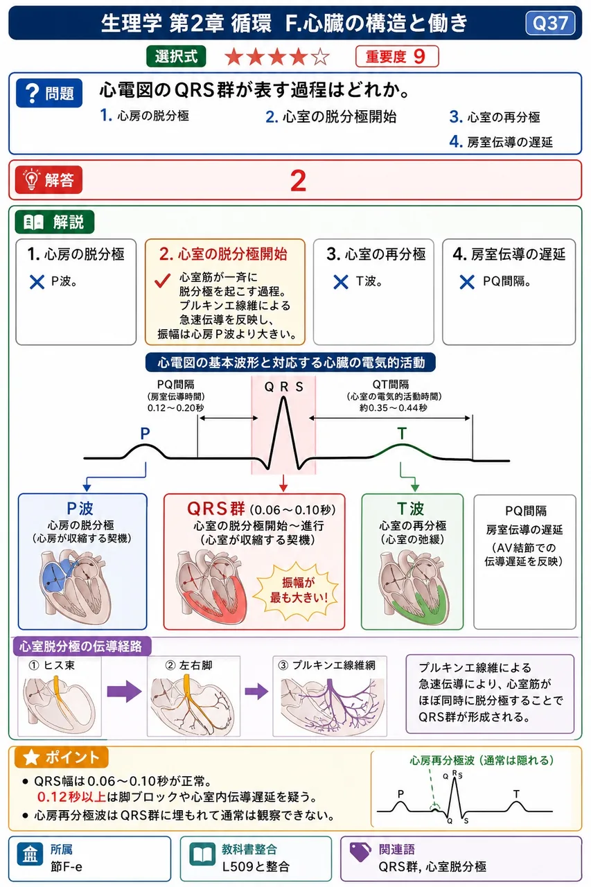 心電図のQRS群が表す過程はどれか。 解説図