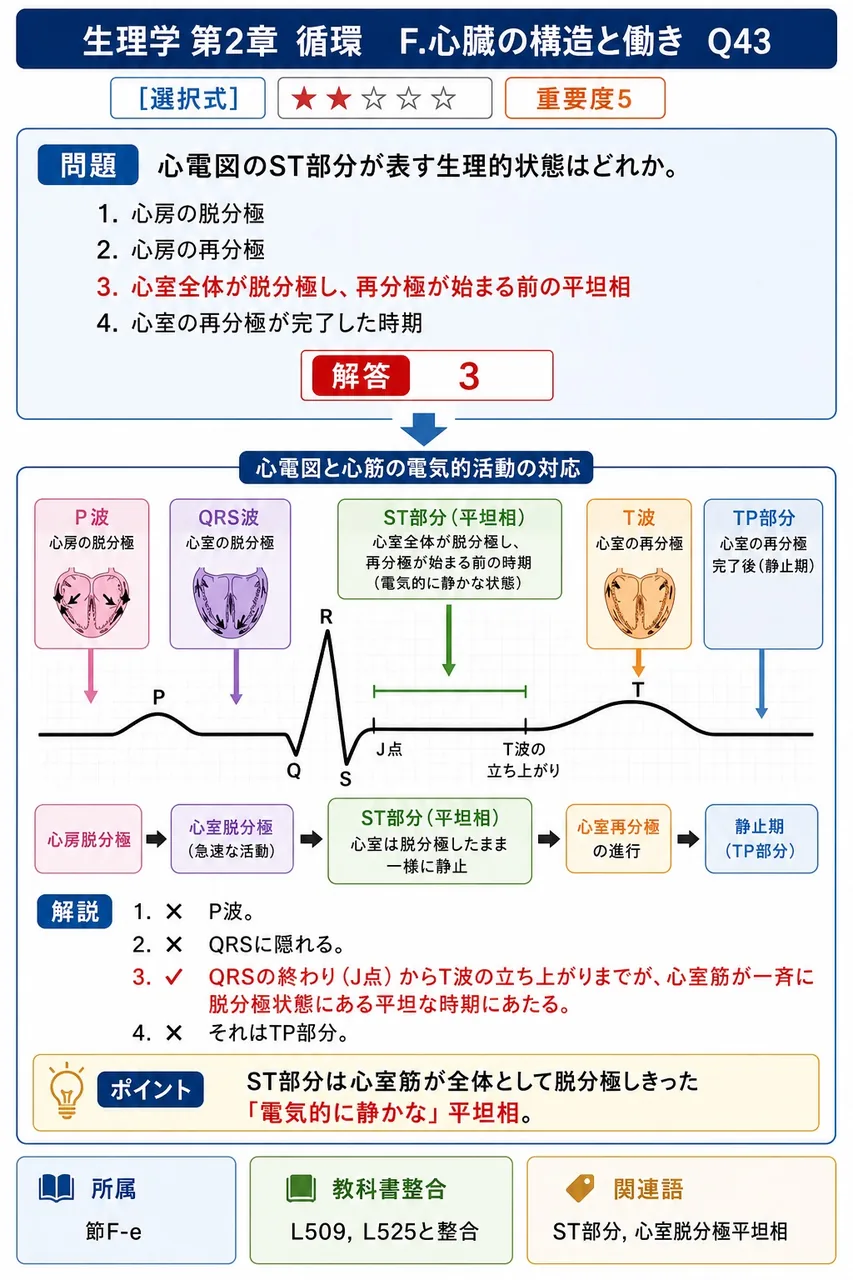 心電図のST部分が表す生理的状態はどれか。 解説図
