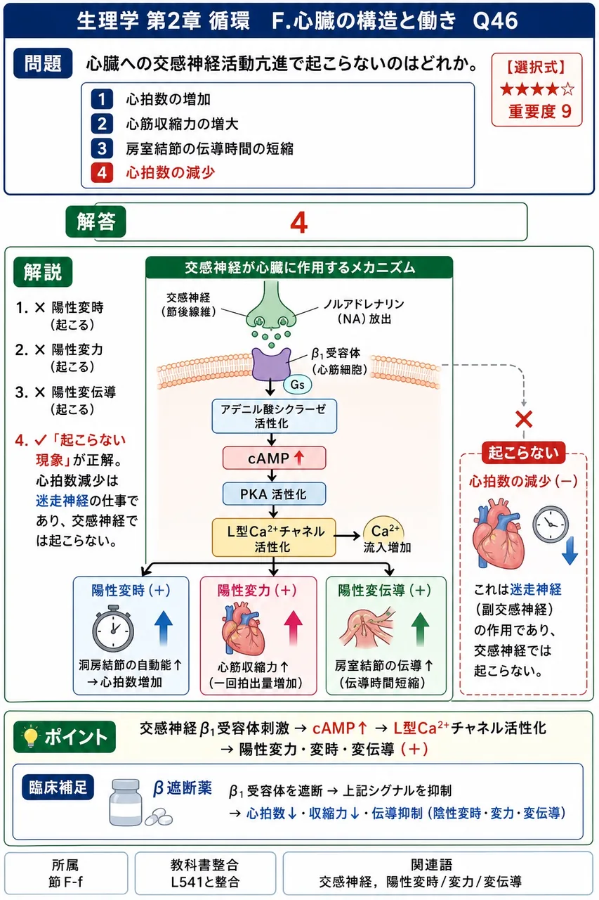 心臓への交感神経活動亢進で起こらないのはどれか。 解説図