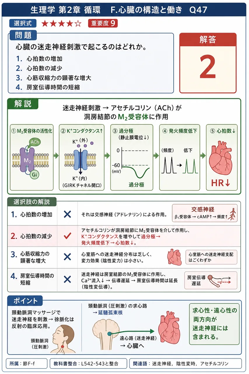 心臓の迷走神経刺激で起こるのはどれか。 解説図