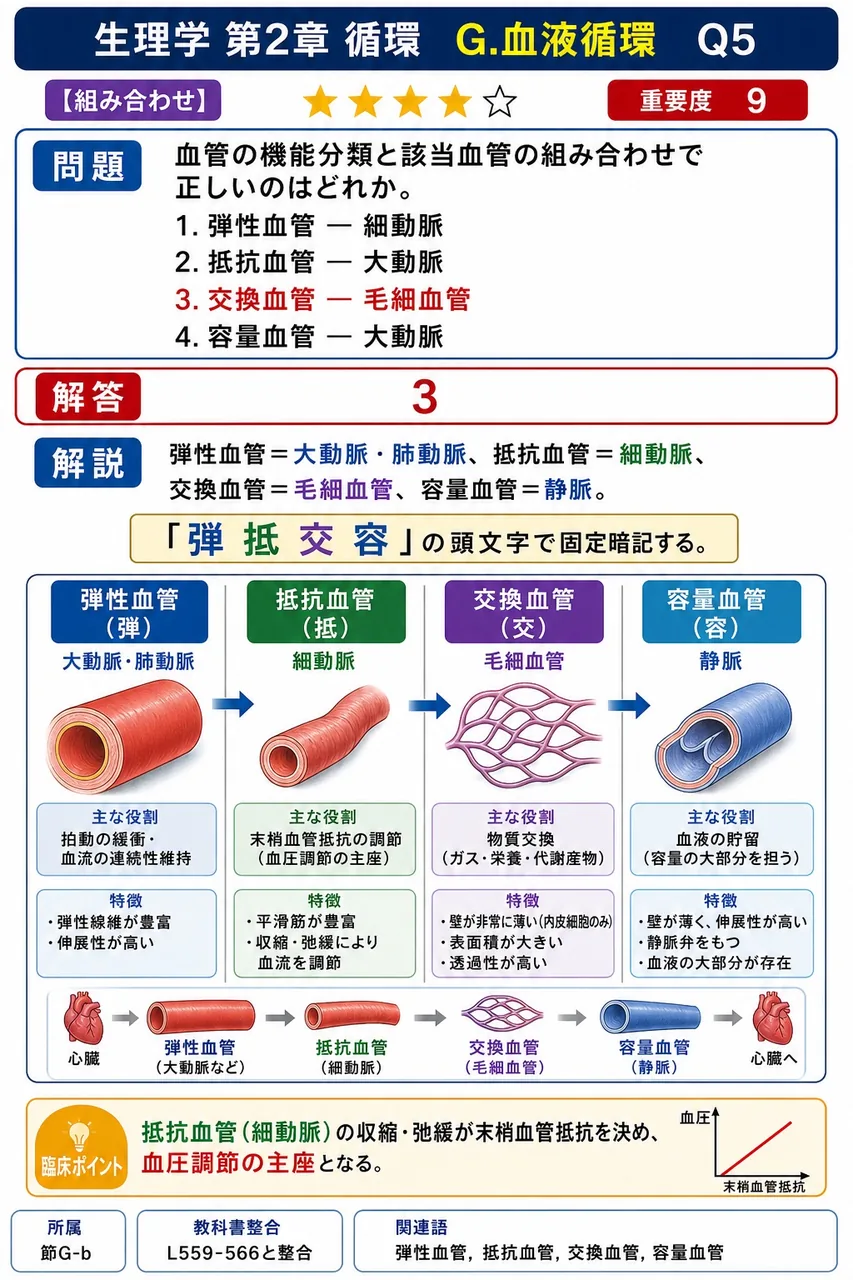 血管の機能分類と該当血管の組み合わせで正しいのはどれか。 解説図