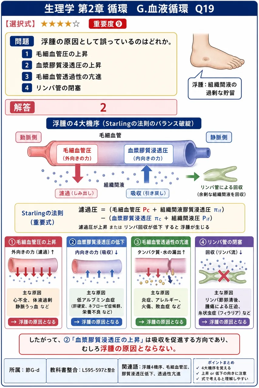 浮腫の原因として誤っているのはどれか。 解説図