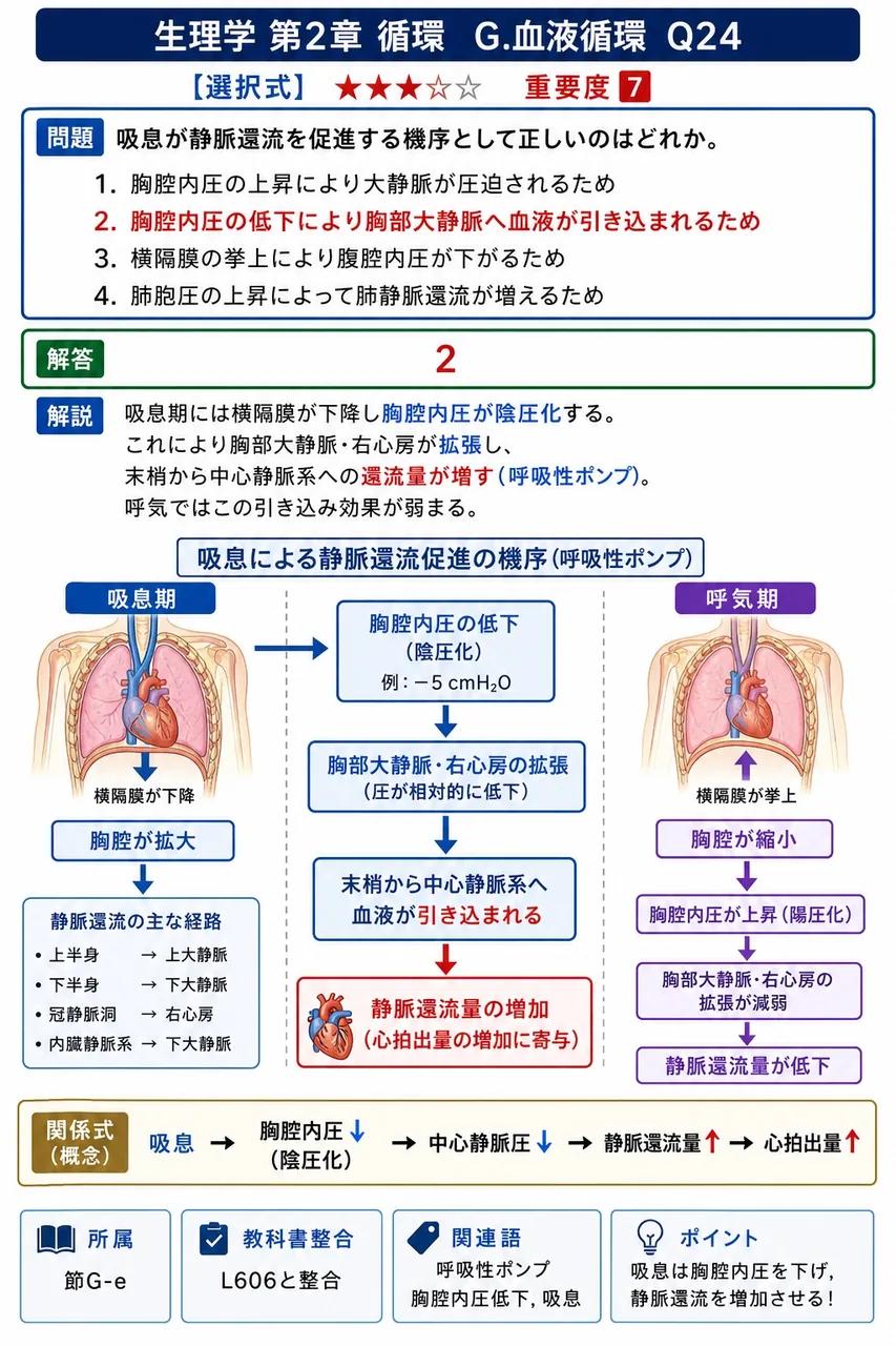 吸息が静脈還流を促進する機序として正しいのはどれか。 解説図