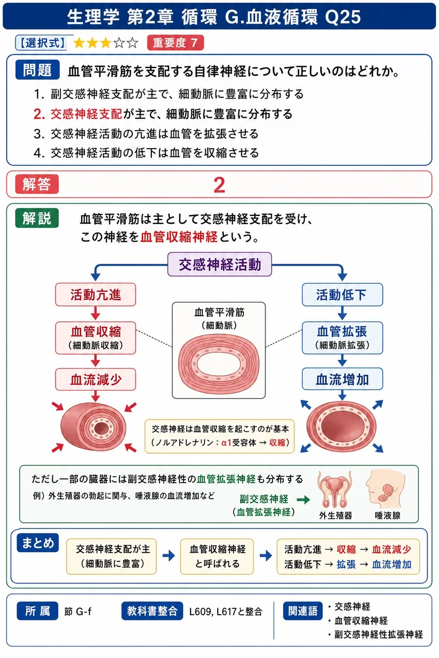 血管平滑筋を支配する自律神経について正しいのはどれか。 解説図