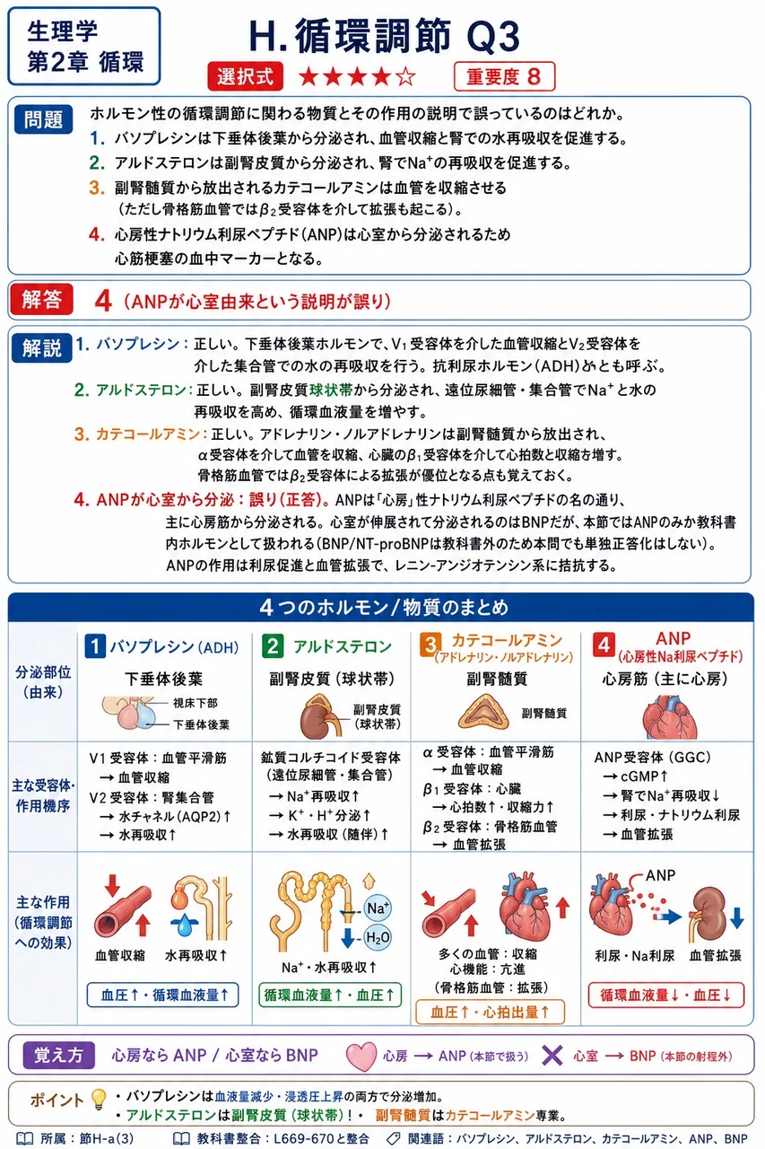 ホルモン性の循環調節に関わる物質とその作用の説明で誤っているのはどれか。 解説図