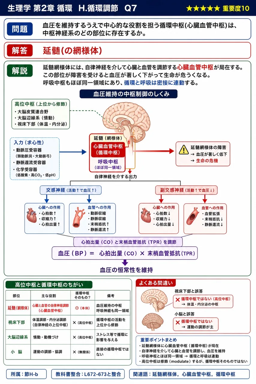 血圧を維持するうえで中心的な役割を担う循環中枢(心臓血管中枢)は、中枢神経系のどの部位に存在するか。 解説図
