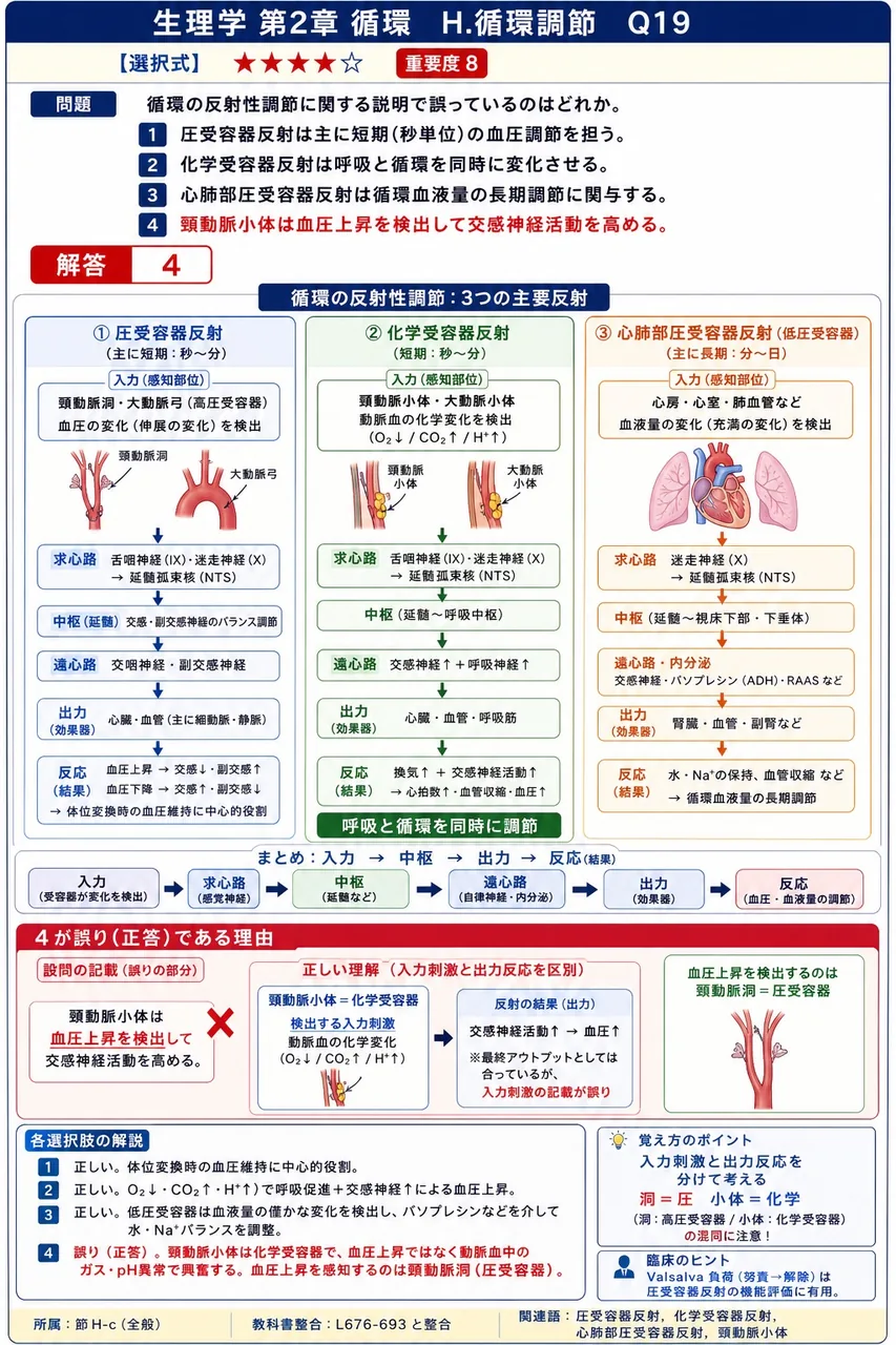 循環の反射性調節に関する説明で誤っているのはどれか。 解説図