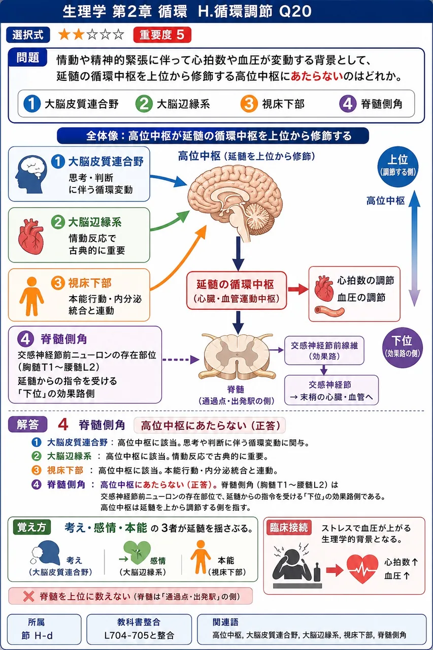 情動や精神的緊張に伴って心拍数や血圧が変動する背景として、延髄の循環中枢を上位から修飾する高位中枢にあたらないのはどれか。 解説図