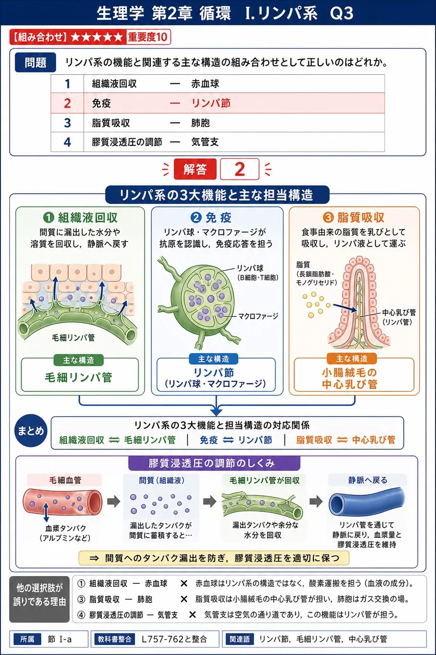リンパ系の機能と関連する主な構造の組み合わせとして正しいのはどれか。 解説図