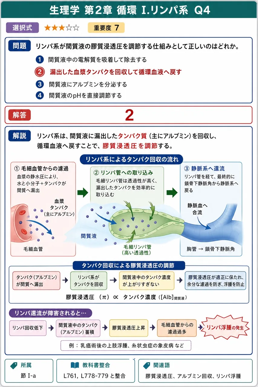 リンパ系が間質液の膠質浸透圧を調節する仕組みとして正しいのはどれか。 解説図