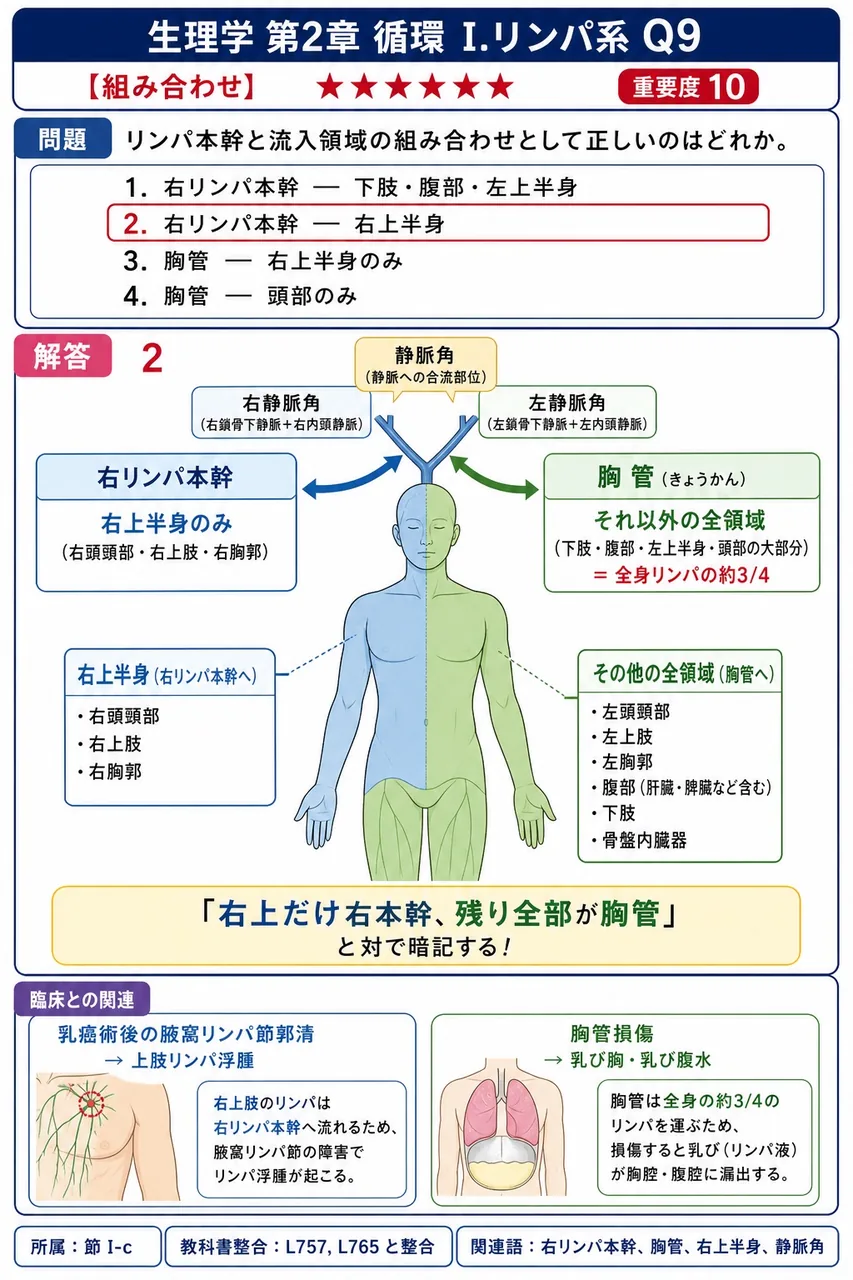 リンパ本幹と流入領域の組み合わせとして正しいのはどれか。 解説図
