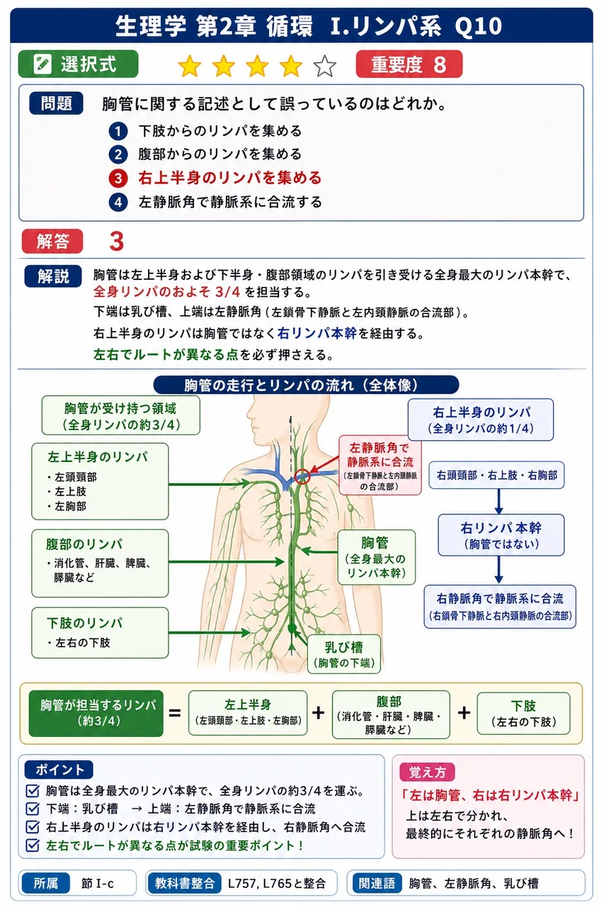 胸管に関する記述として誤っているのはどれか。 解説図