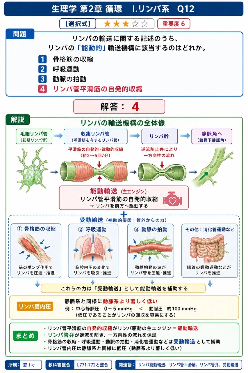 リンパの輸送に関する記述のうち、リンパの「能動的」輸送機構に該当するのはどれか。 解説図