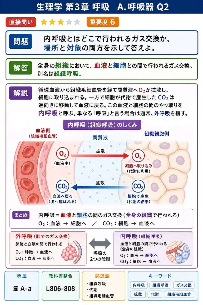 内呼吸とはどこで行われるガス交換か、場所と対象の両方を示して答えよ。 解説図
