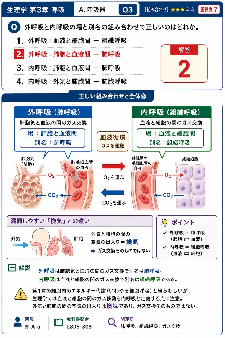 外呼吸と内呼吸の場と別名の組み合わせで正しいのはどれか。 解説図