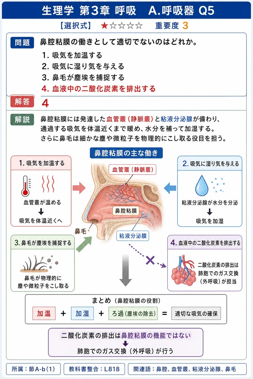 鼻腔粘膜の働きとして適切でないのはどれか。 解説図