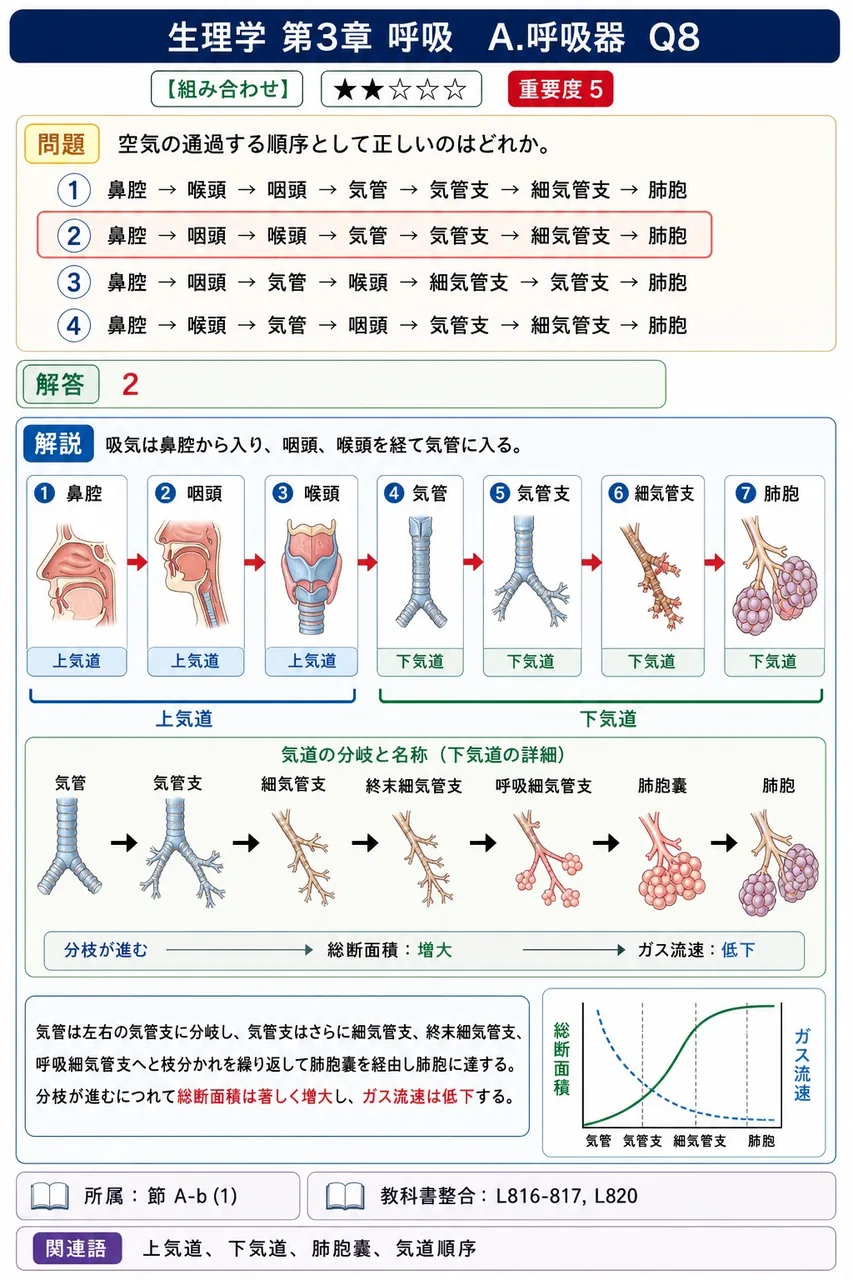 空気の通過する順序として正しいのはどれか。 解説図