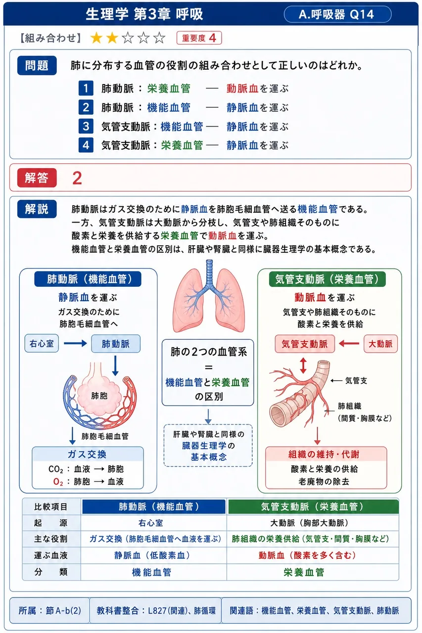 肺に分布する血管の役割の組み合わせとして正しいのはどれか。 解説図