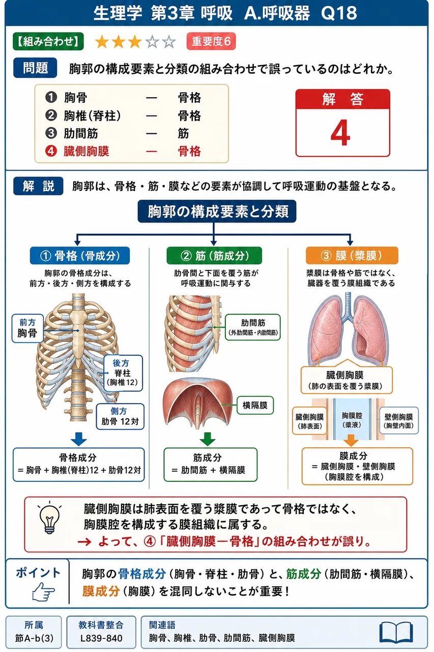 胸郭の構成要素と分類の組み合わせで誤っているのはどれか。 解説図