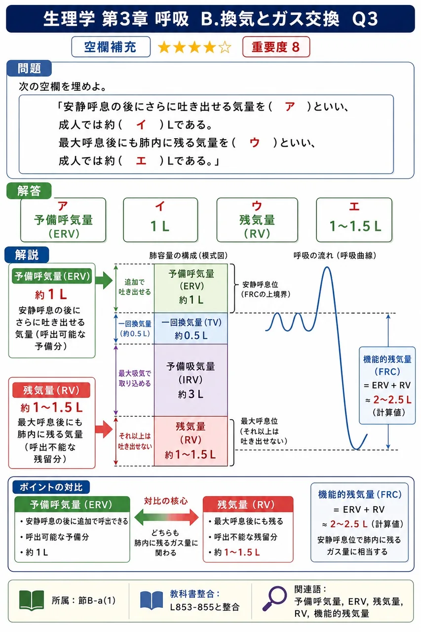 次の空欄を埋めよ。 「安静呼息の後にさらに吐き出せる気量を( ア )といい、成人では約( イ )Lである。最大呼息後にも肺内に残る気量を( ウ )といい、成人では約( エ )Lである。」 解説図
