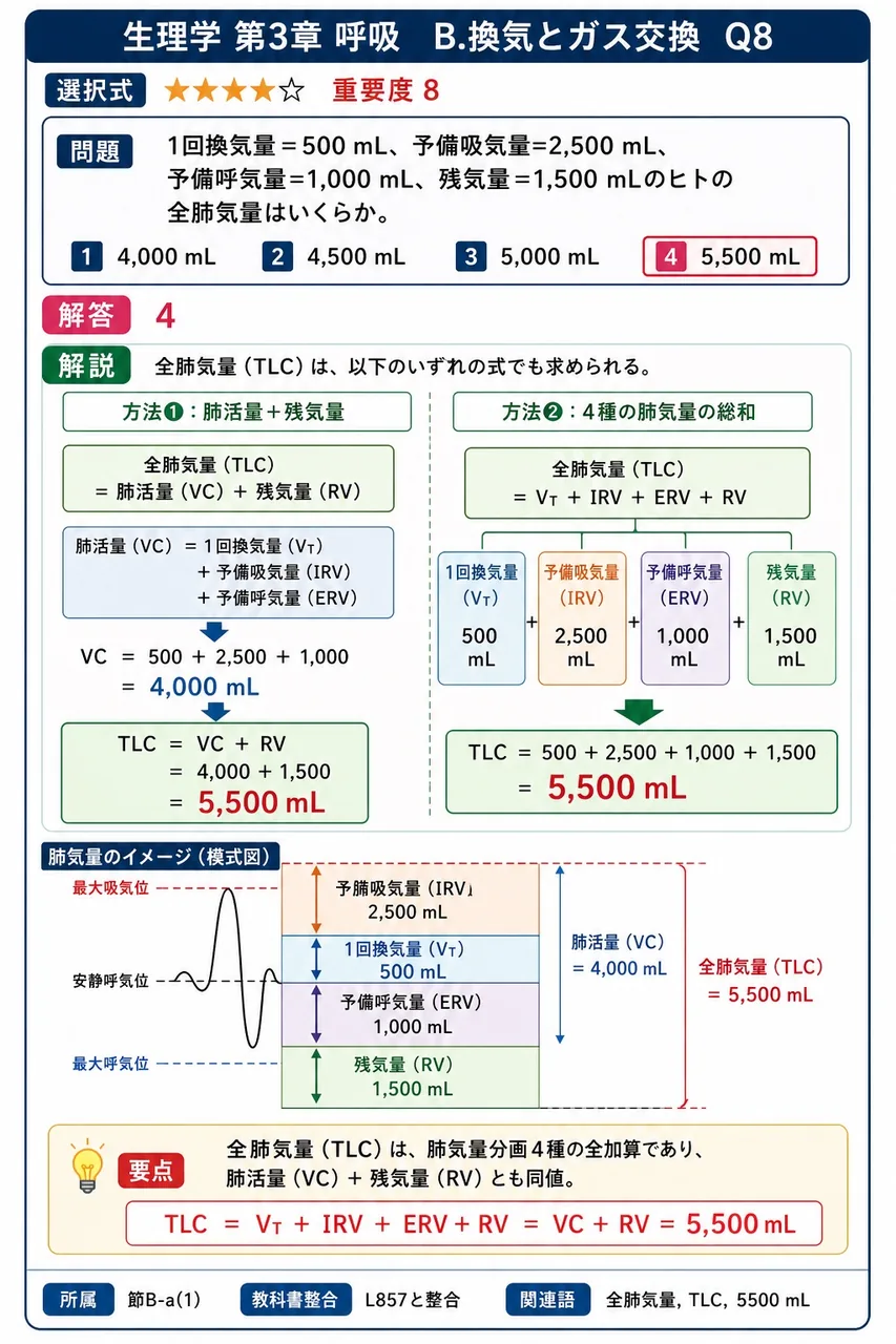 1回換気量=500 mL、予備吸気量=2,500 mL、予備呼気量=1,000 mL、残気量=1,500 mLのヒトの全肺気量はいくらか。 解説図
