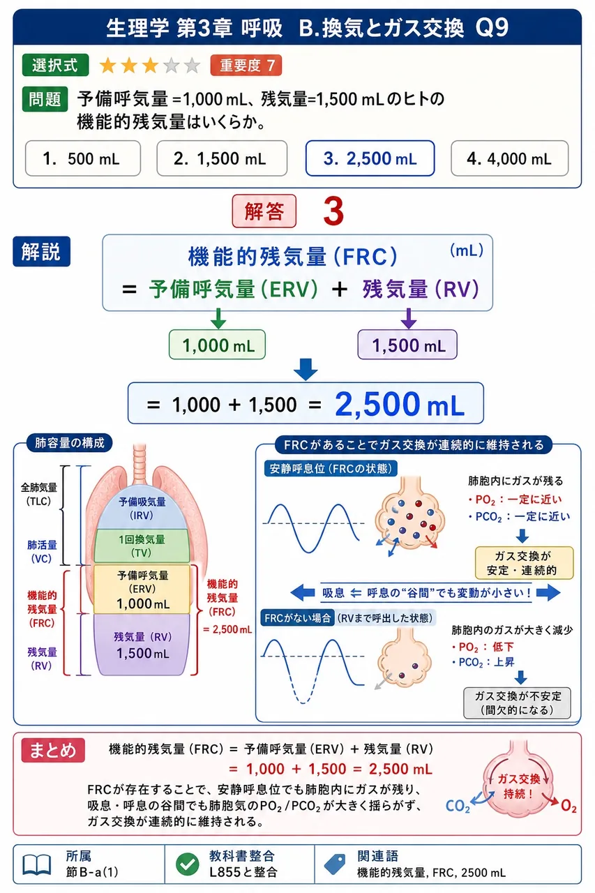 予備呼気量=1,000 mL、残気量=1,500 mLのヒトの機能的残気量はいくらか。 解説図