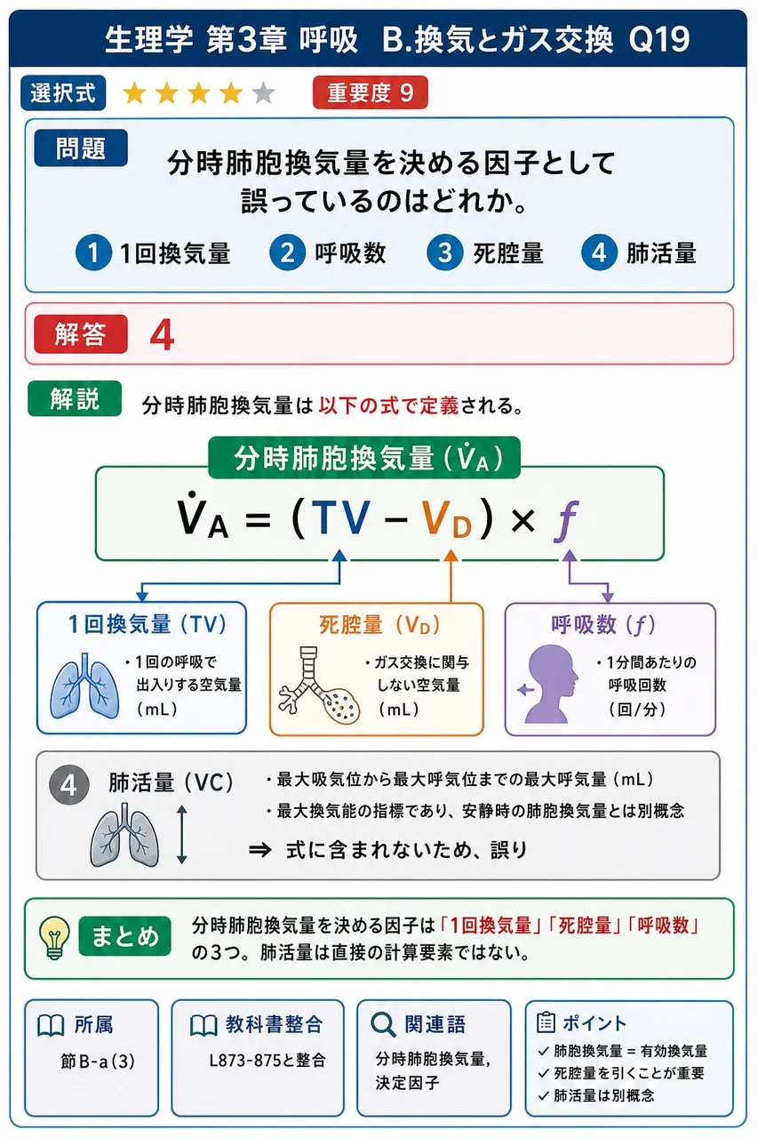 分時肺胞換気量を決める因子として誤っているのはどれか。 解説図