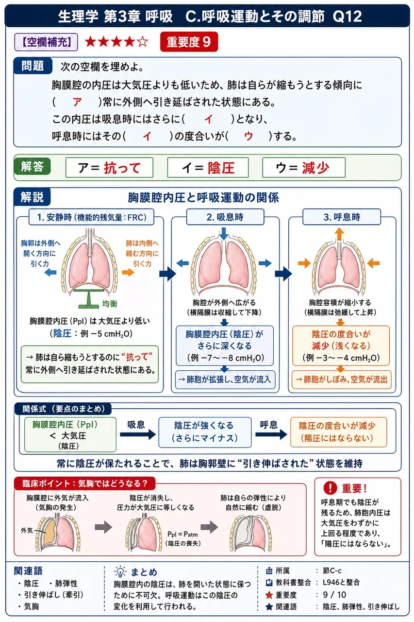 次の空欄を埋めよ。 「胸膜腔の内圧は大気圧よりも低いため、肺は自らが縮もうとする傾向に( ア )常に外側へ引き延ばされた状態にある。この内圧は吸息時にはさらに( イ )となり、呼息時にはその( イ )の度合いが( ウ )する。」 解説図